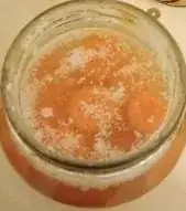 Picture of white blobby things growing atop the ferment