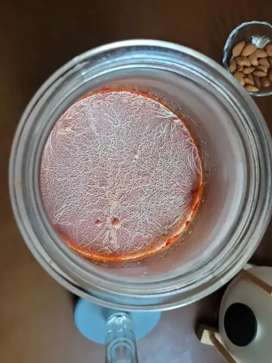 white kham yeast