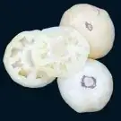 white tomatoes