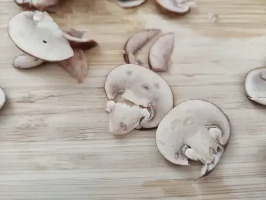 mushrooms with holes