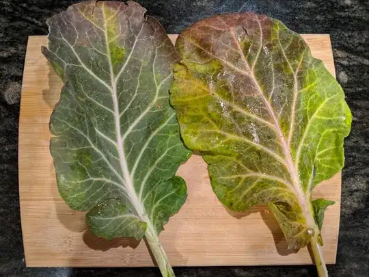 Red Collard Greens