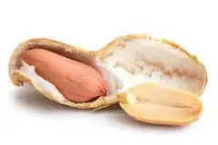 a split peanut