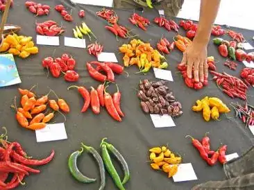 Peppers!