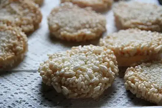 fried rice cake