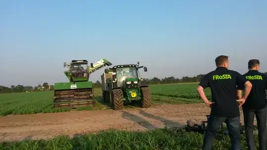 Basil harvesting