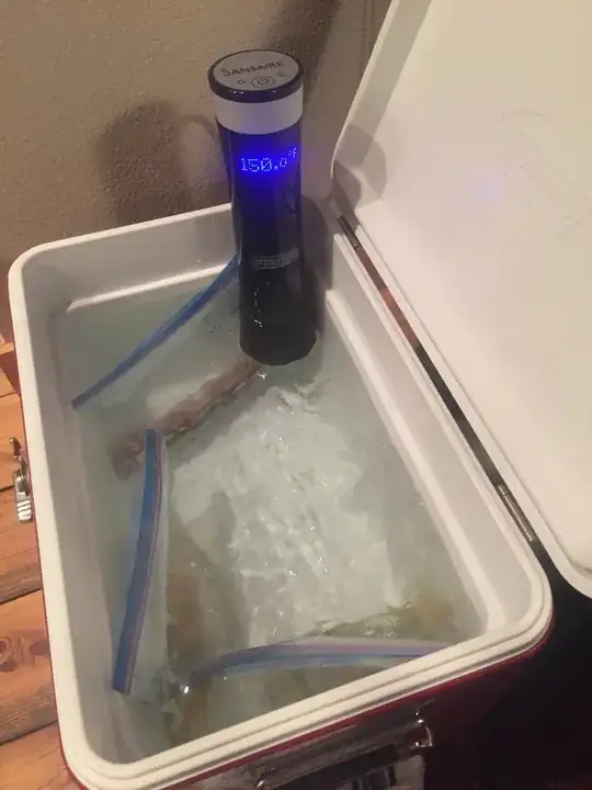 Wand sous vide in a coleman cooler