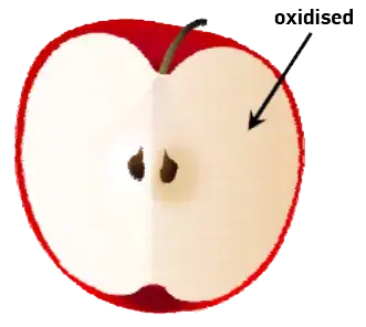 Half an apple, where the left side has been artificially treated with vitamin C: