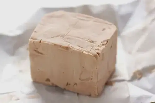 fresh yeast