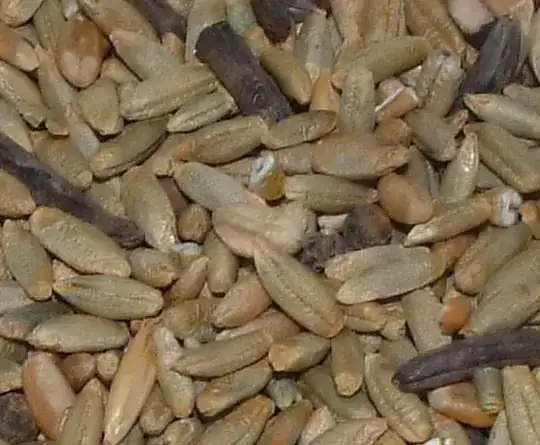 Ergot image