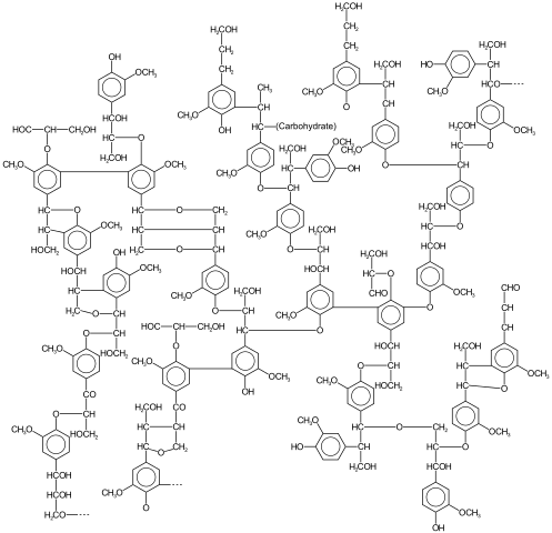 Lignin