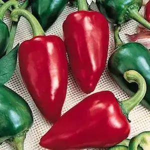 Pimiento
