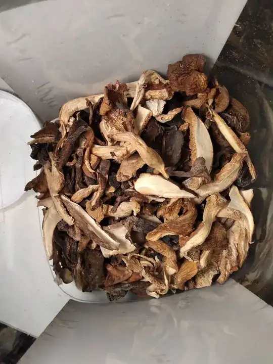 third image