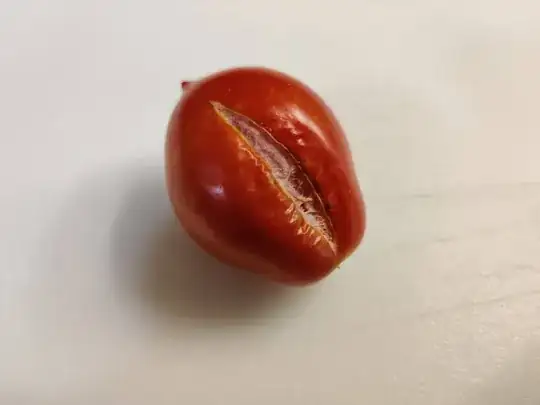 This is an image of a tomato which has begun splitting longitudinally.  The split is deep but relatively fresh.