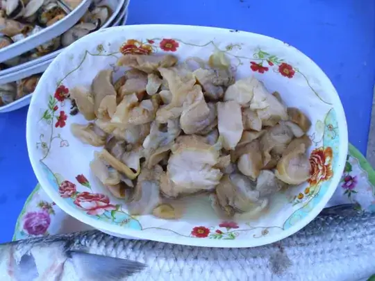 raw rapane waiting to be cooked