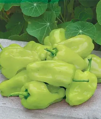 Greek Peperoncini