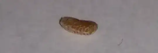 raspberry seed