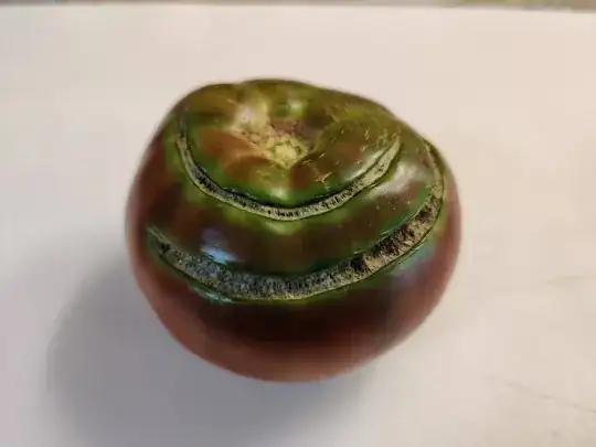 This large tomato is a variety which is both red and green.  There are several wide growth splits which radiate out near the stem.