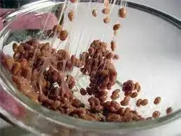natto strings
