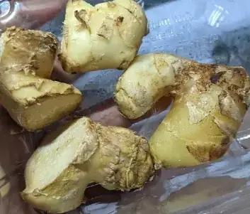 Young (light coloured) ginger root