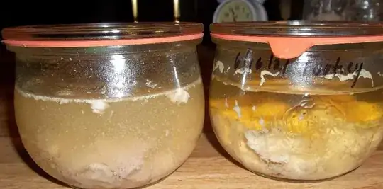 Bone broth