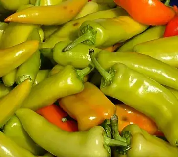 Hungarian Wax Peppers