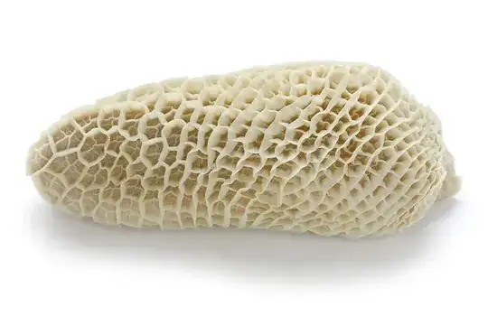 more photogenic tripe
