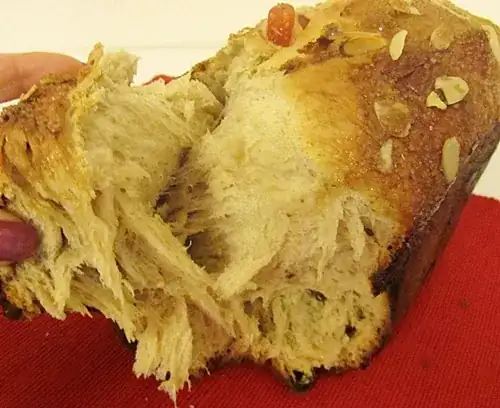 Kozunak