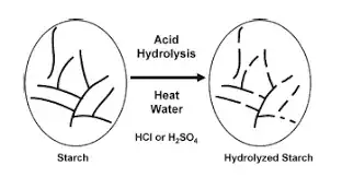 hydrolysis