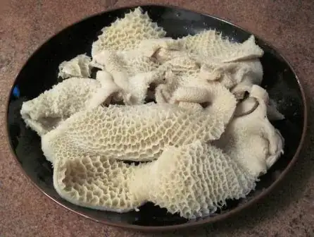 honeycomb tripe