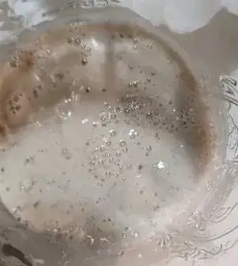 Top Vies of Sourdough Starter.