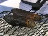 Rotisserie Drum