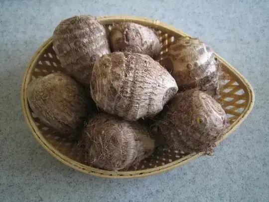 colocasia
