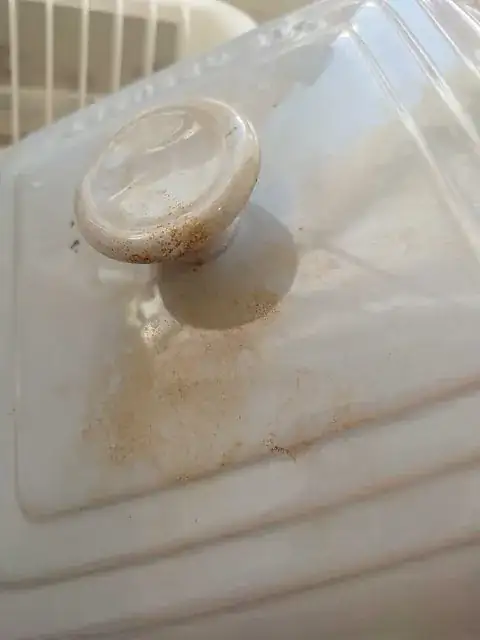 Lid