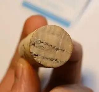 cork