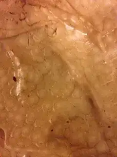pavlova