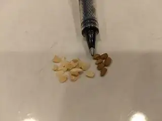 Seeds I don't recognize