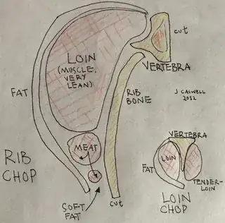 Drawing of Rib and Loin chops