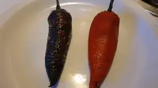 pepper2