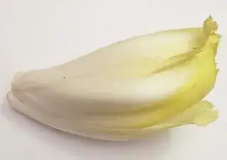 chickory