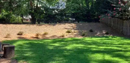 backyard pic