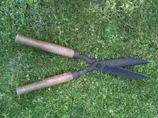 Hedge clippers oc