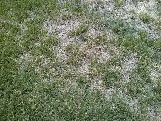brown spots on lawn