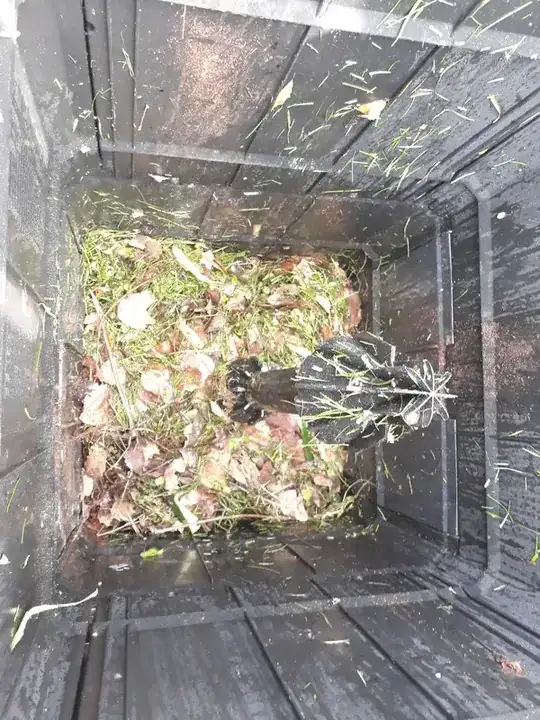 1Bin