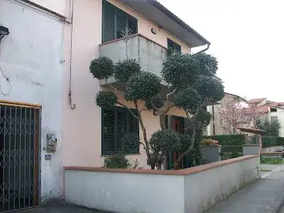 ulivo