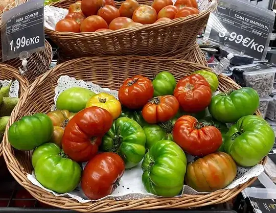 Foto1