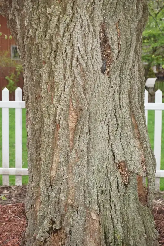 stump
