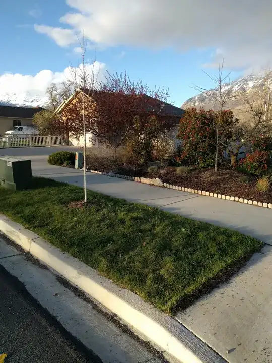 Replacement tree