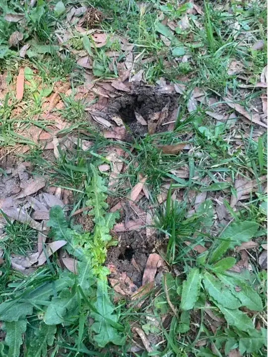 the holes