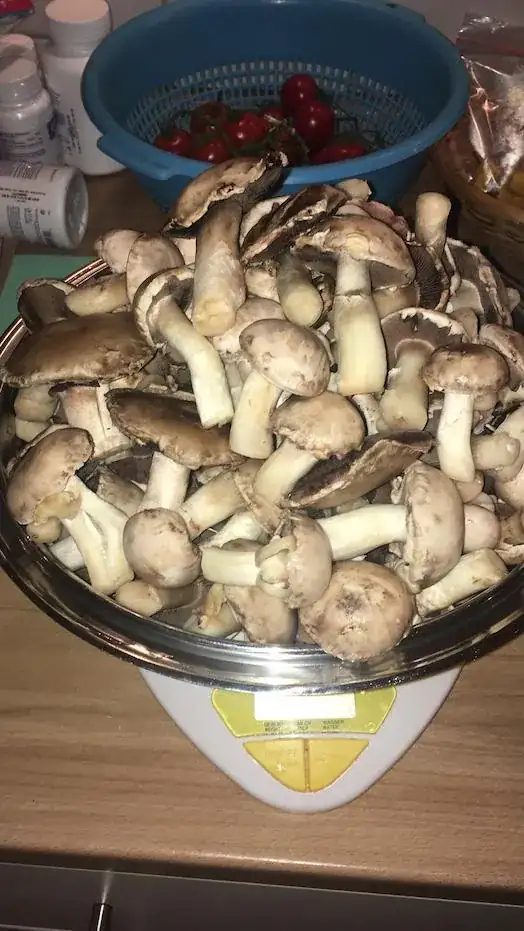 just 1-2 days later