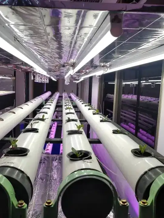 A system